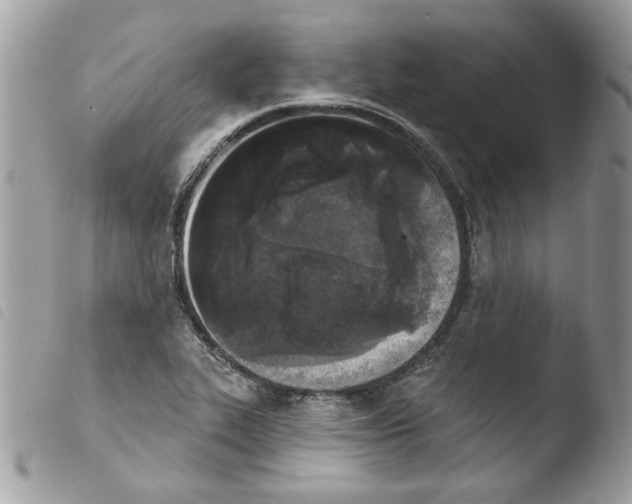 X0000103931319200810171742