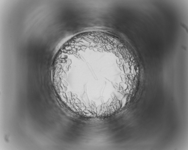 X0000103931320200810171742