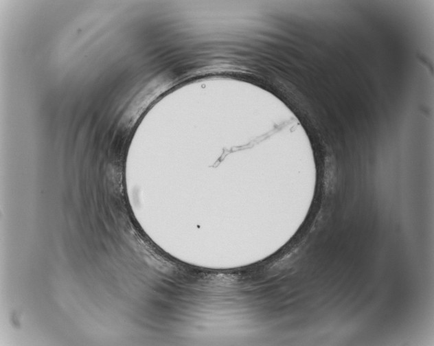 X0000103931321200810171742