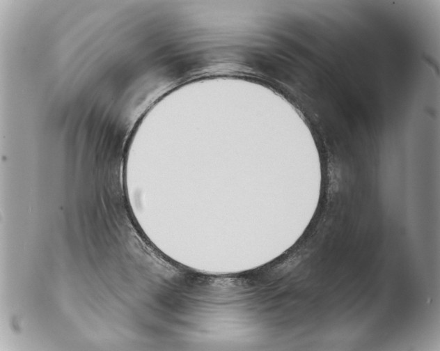 X0000103931322200810171742