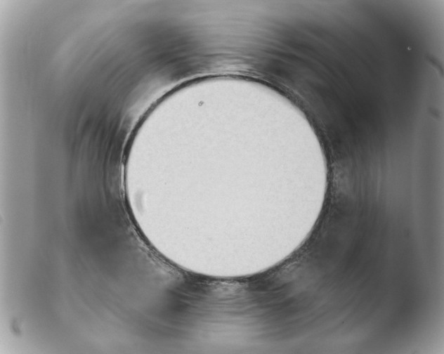 X0000103931324200810171742