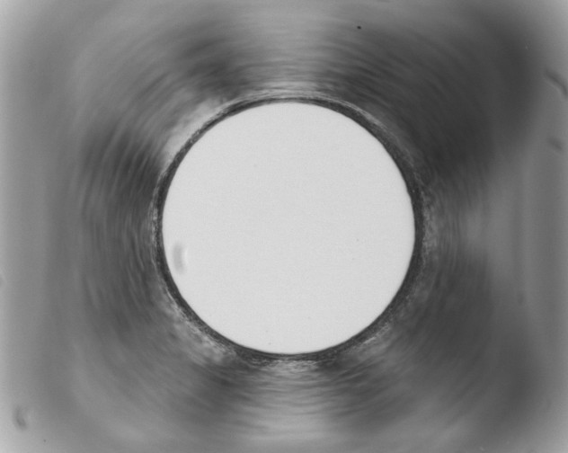 X0000103931325200810171742