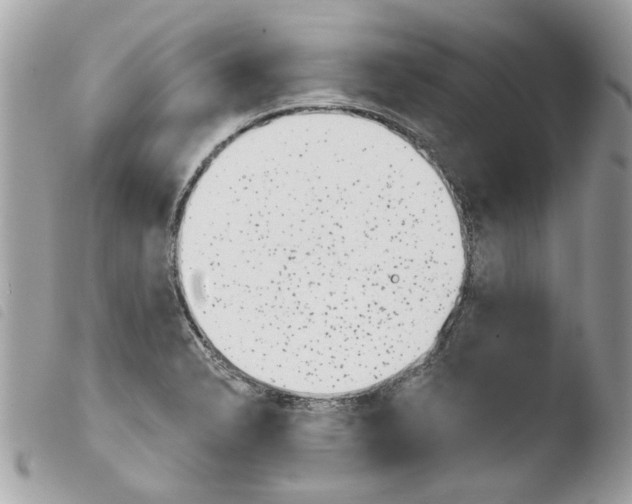 X0000103931326200810171742