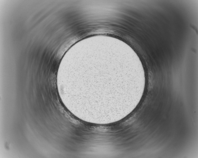 X0000103931329200810171742