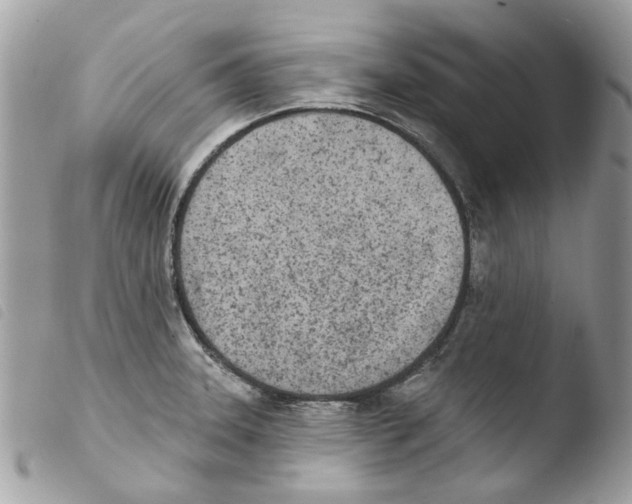 X0000103931331200810171742