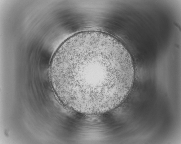 X0000103931332200810171742