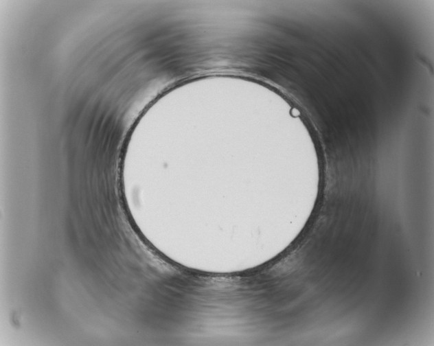 X0000103931333200810171742