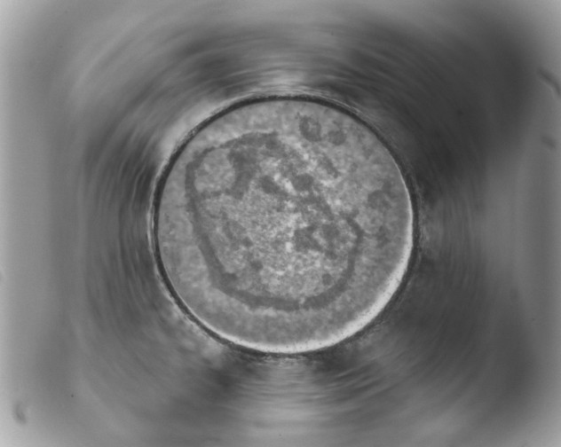 X0000103931334200810171742