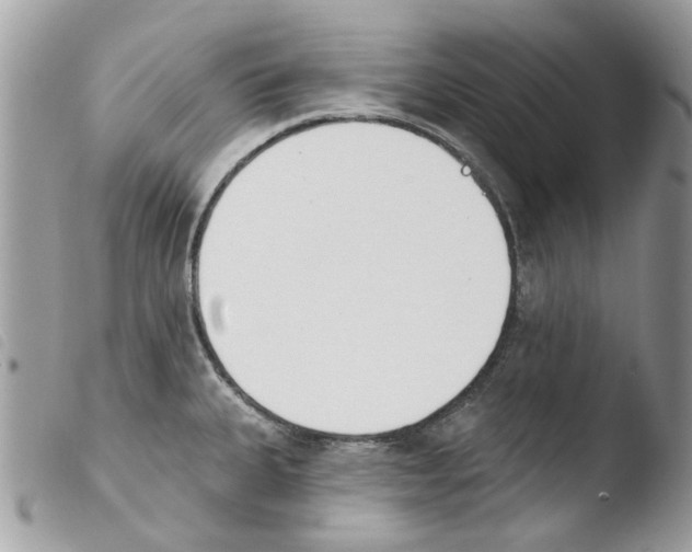 X0000103931335200810171742