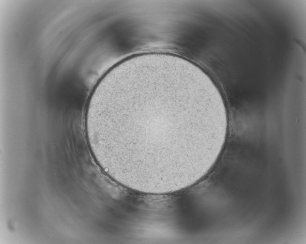 X0000103931336200810171742