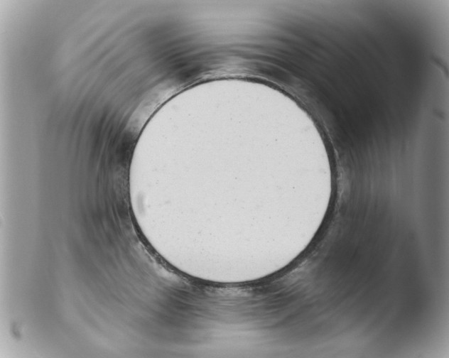 X0000103931337200810171742