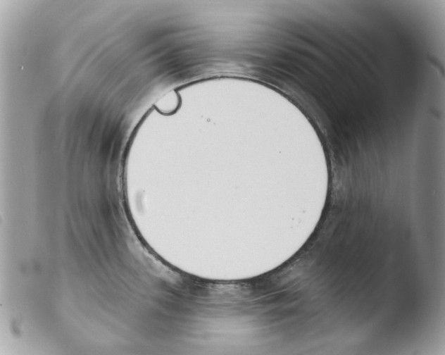 X0000103931339200810171742