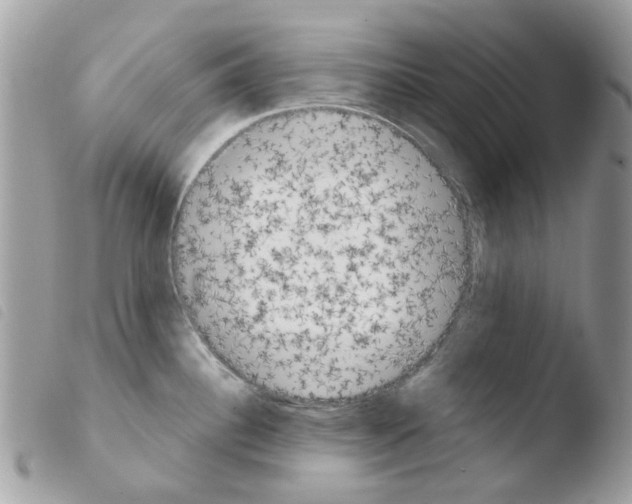 X0000103931340200810171742