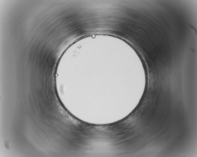 X0000103931341200810171742