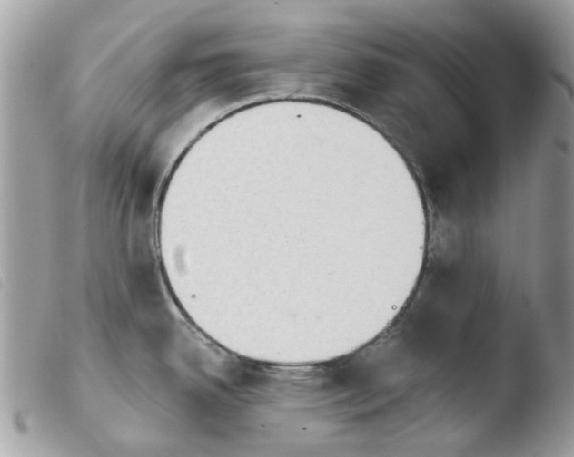 X0000103931342200810171742