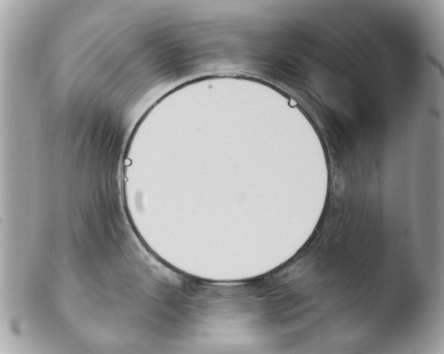 X0000103931343200810171742