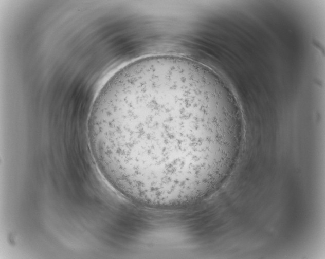 X0000103931344200810171742