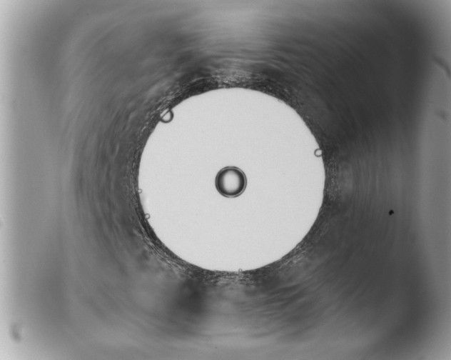 X0000103931345200810171742