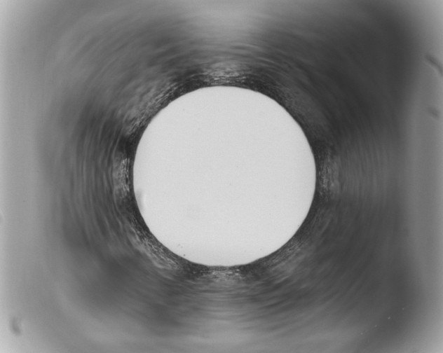 X0000103931346200810171742