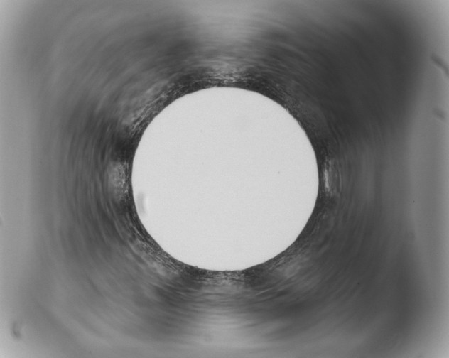 X0000103931347200810171742