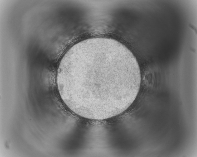 X0000103931348200810171742