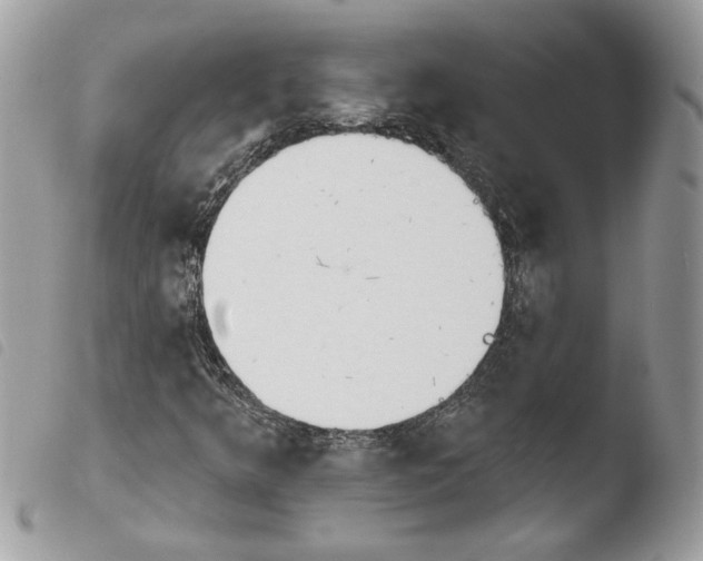 X0000103931349200810171742