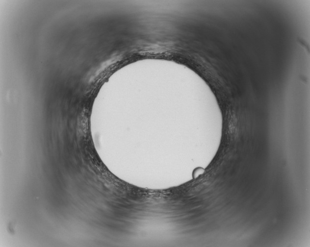 X0000103931350200810171742