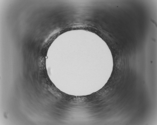 X0000103931351200810171742