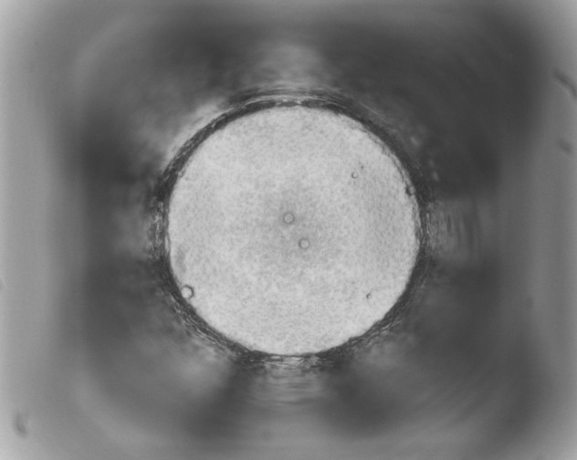 X0000103931352200810171742