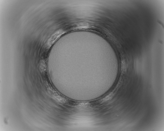 X0000103931353200810171742