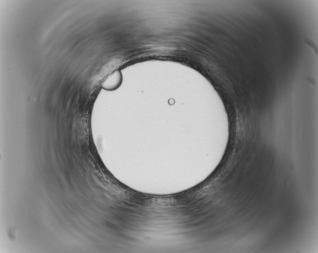 X0000103931354200810171742