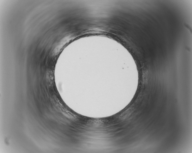 X0000103931355200810171742