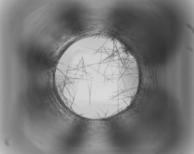 X0000103931356200810171741