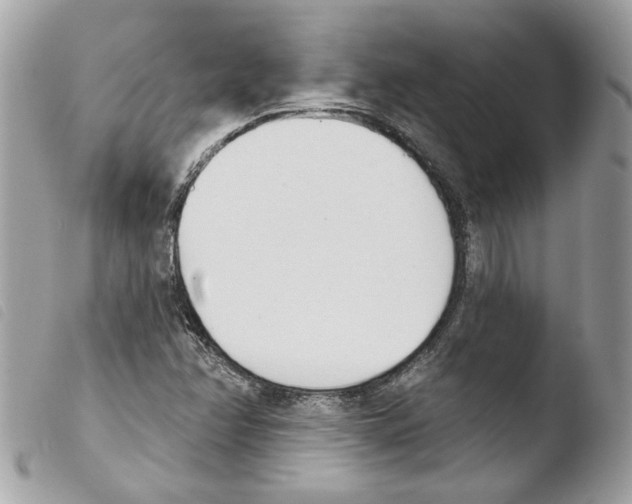 X0000103931358200810171741