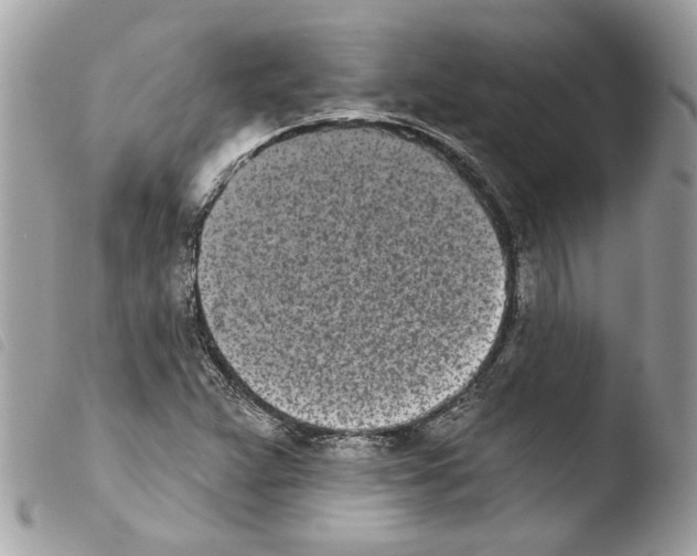 X0000103931359200810171741