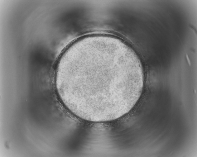 X0000103931360200810171741