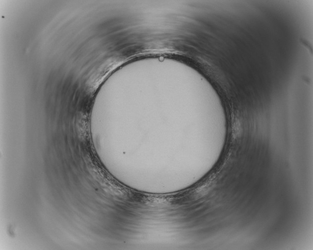 X0000103931361200810171741