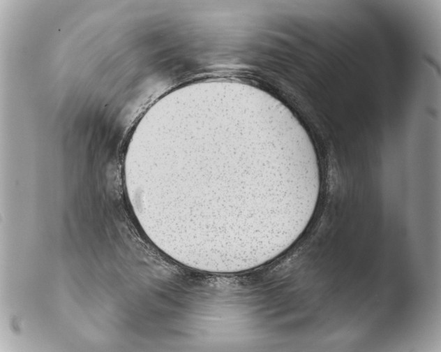 X0000103931362200810171741