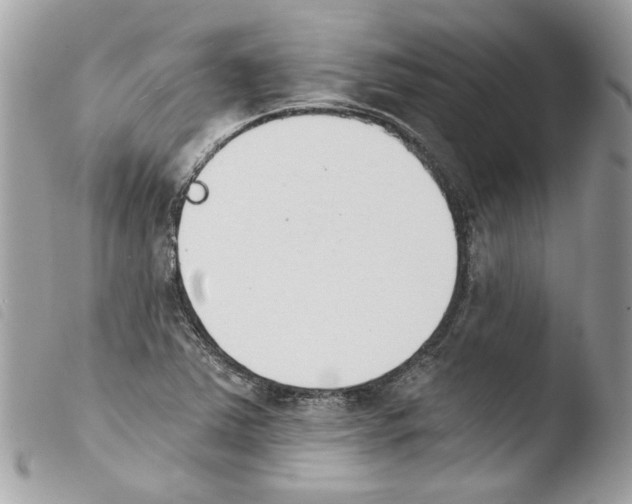 X0000103931363200810171741