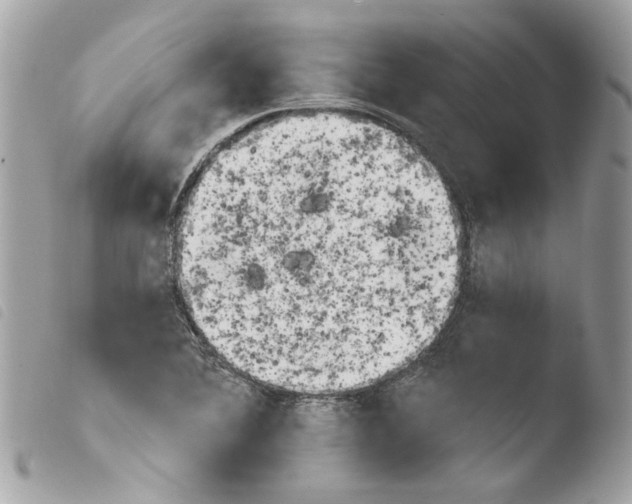 X0000103931364200810171741