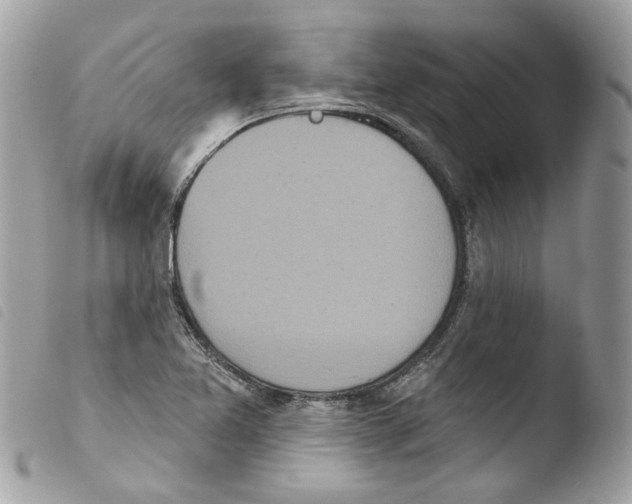 X0000103931365200810171741