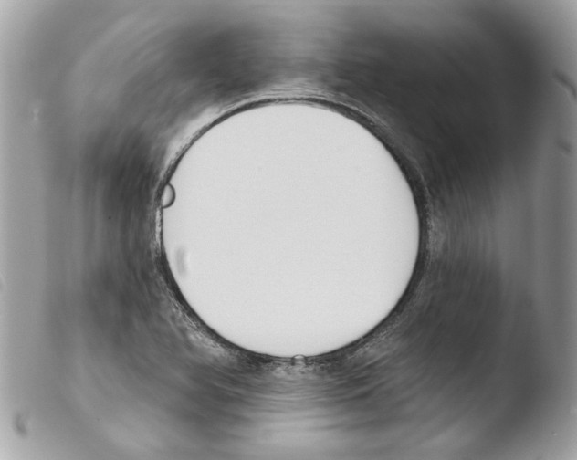 X0000103931366200810171741