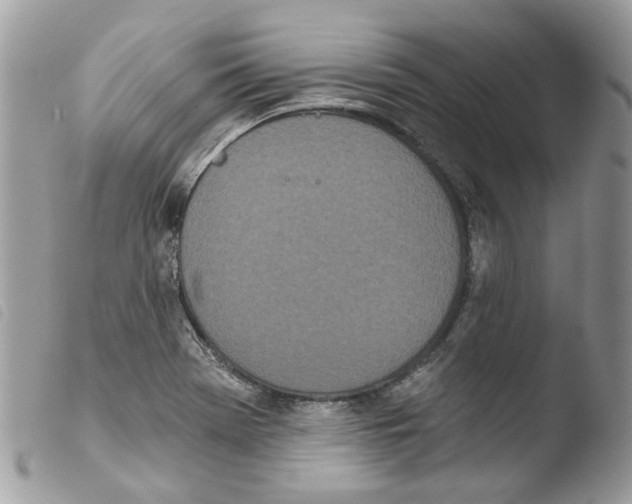 X0000103931369200810171741