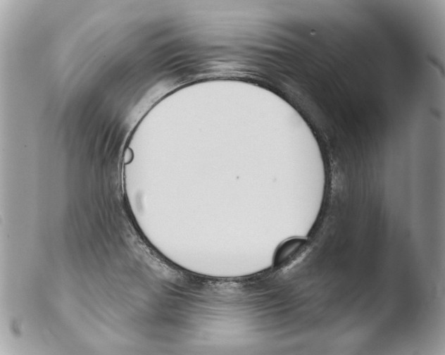 X0000103931370200810171741