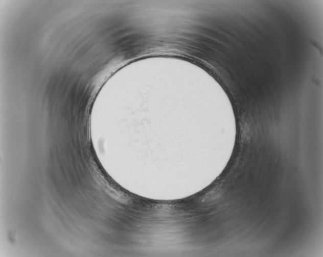 X0000103931371200810171741