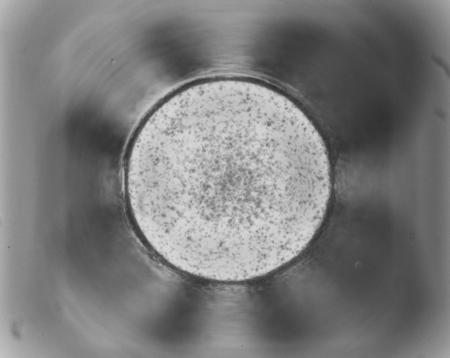 X0000103931372200810171741