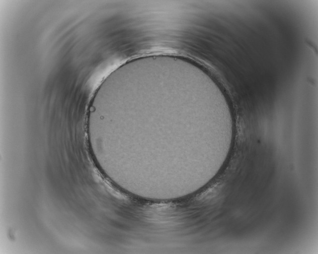 X0000103931373200810171741