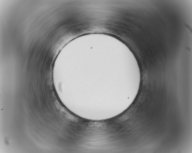 X0000103931374200810171741