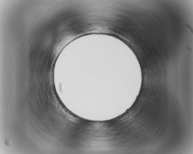 X0000103931375200810171741