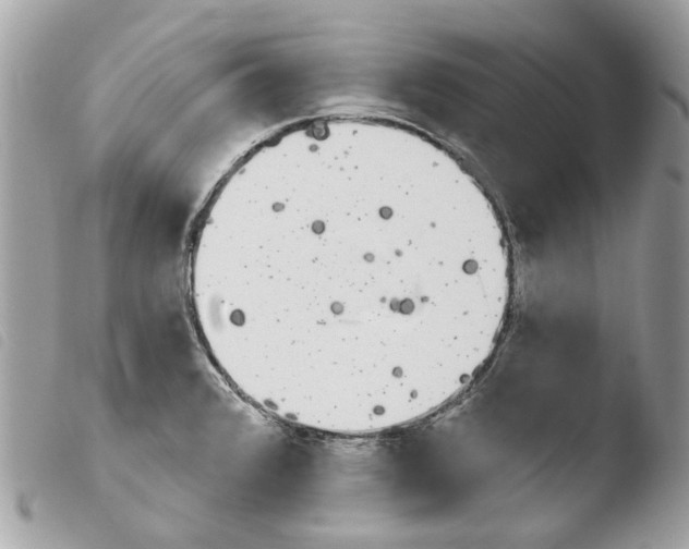 X0000103931376200810171741